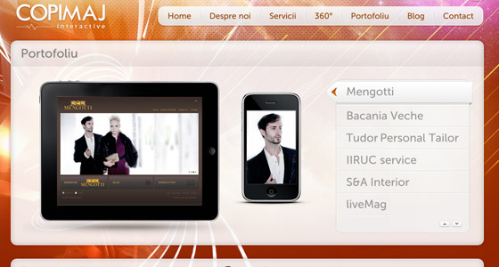 Examples of Slideshows in Webdesign