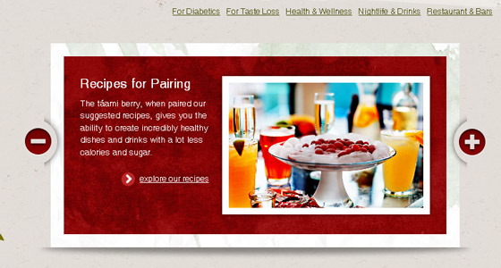 Examples of Slideshows in Webdesign