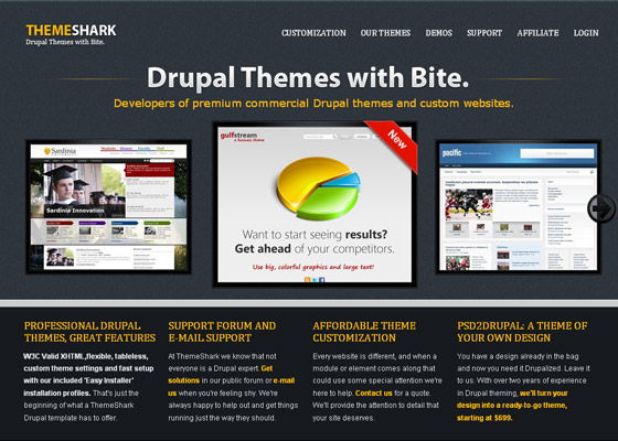 Best Drupal Themes Providers