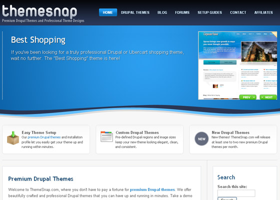Best Drupal Themes Providers
