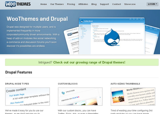 Best Drupal Themes Providers