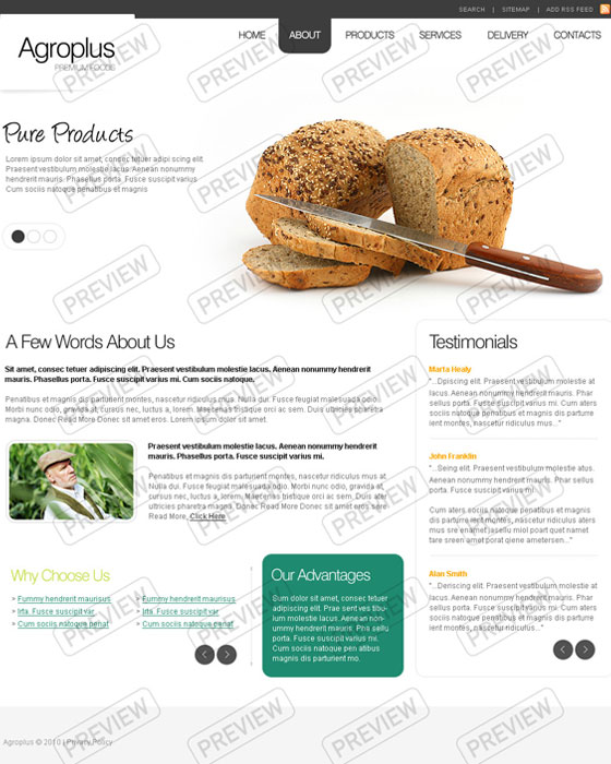 Photoshop Website Templates