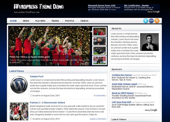 Wordpress Sports Themes