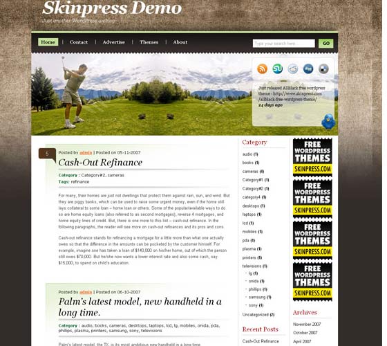 Wordpress Sports Themes