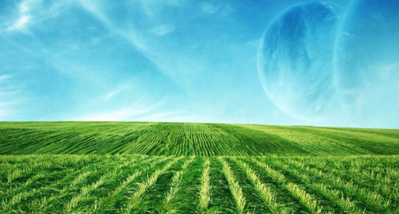 Free iPad Wallpapers