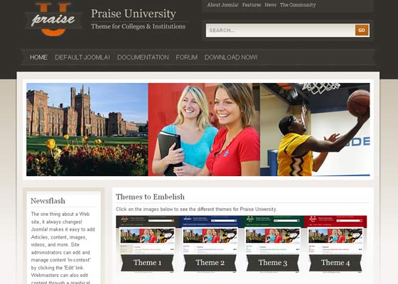 Joomla Themes
