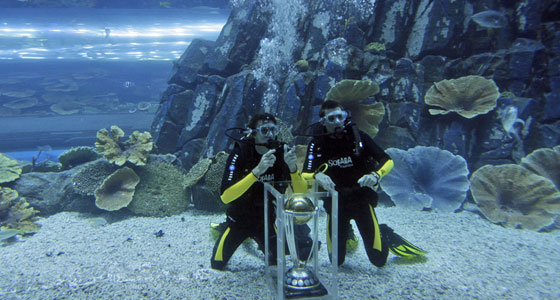 2011 Cricket Worldcup Wallpaers
