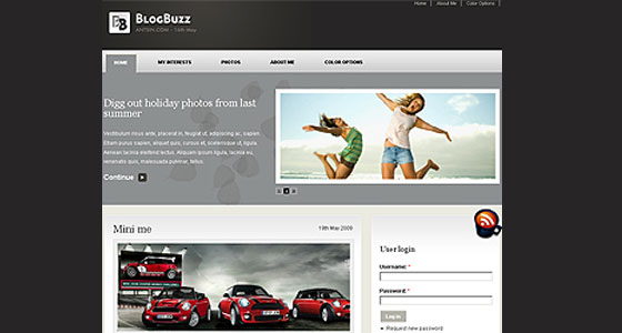 Drupal Themes