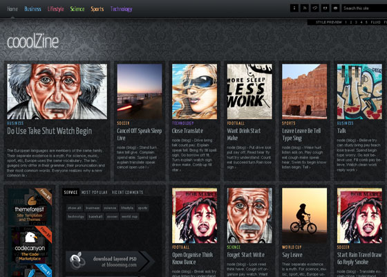 Drupal Themes