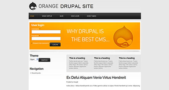 Drupal Themes