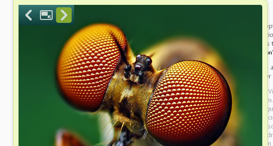 jquery Slideshow Plugins