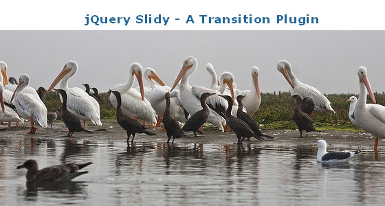 jquery Slideshow Plugins