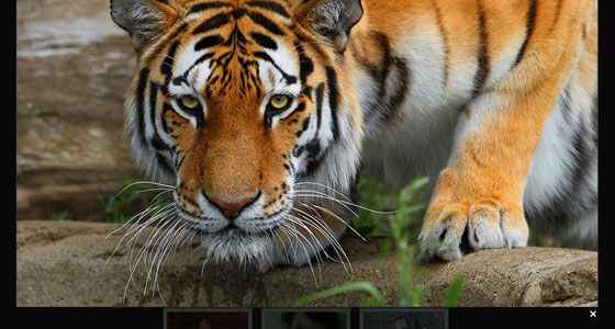 jquery Slideshow Plugins