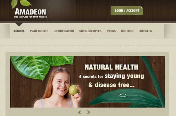 Joomla 1.6 Templates