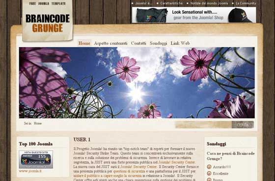 Joomla 1.6 Templates
