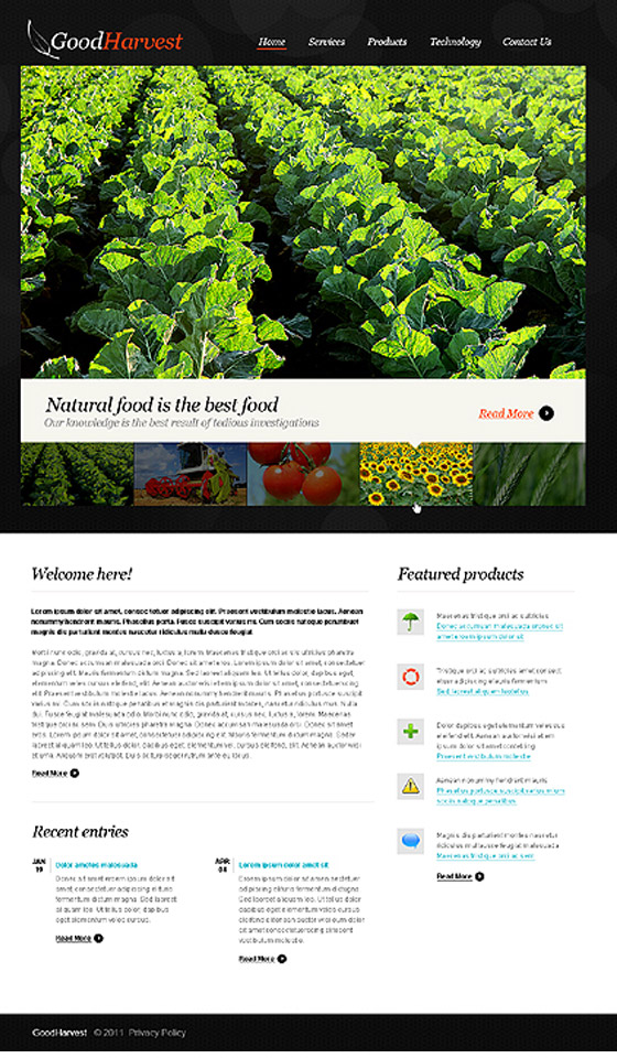 Premium Html5 Templates