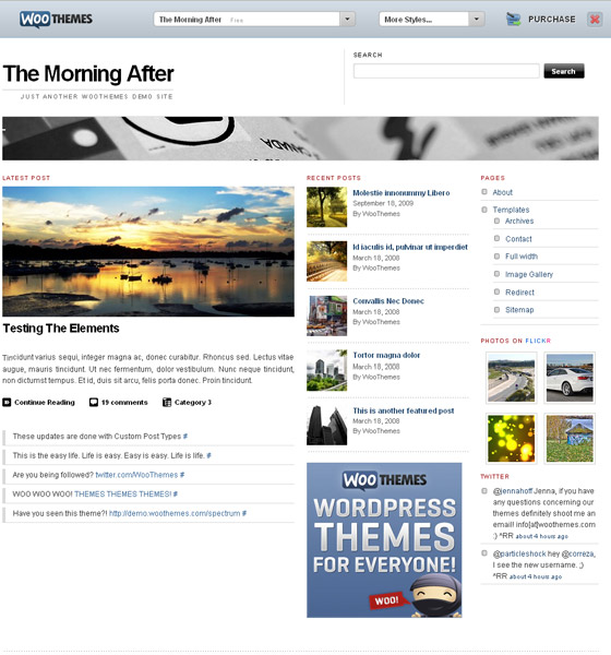 wordpress Free Business Themes