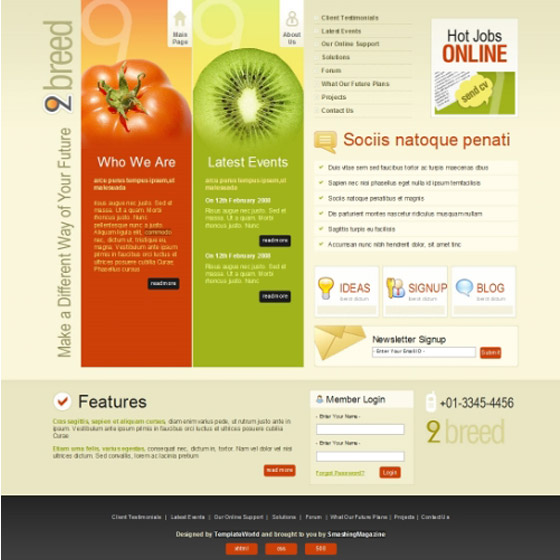 Free Psd Website templates