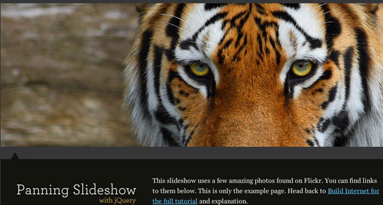 Best JQuery Tutorials