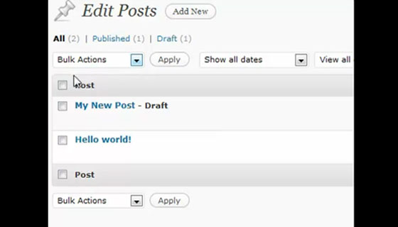 Best WordPress Video Tutorials