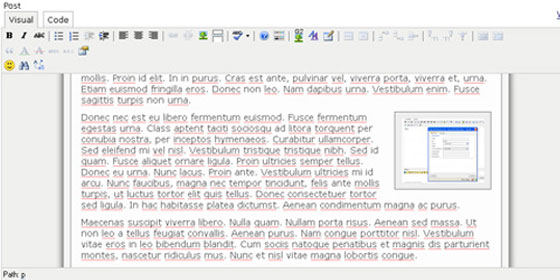 Wordpress Typography Plugins