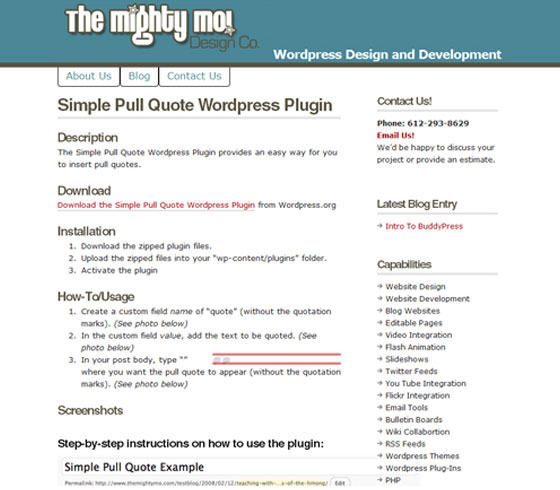 Wordpress Typography Plugins