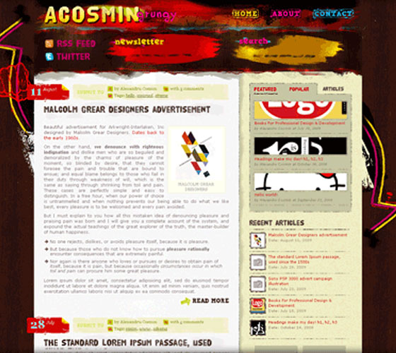 Premium WordPress themes