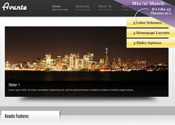 Premium WordPress themes