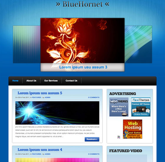 Premium WordPress themes
