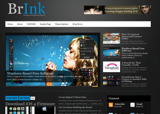 Premium WordPress themes
