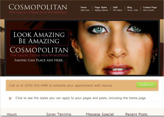 Premium WordPress themes