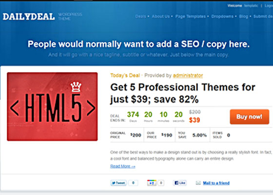 Premium WordPress themes