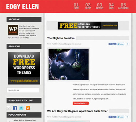 Premium WordPress themes