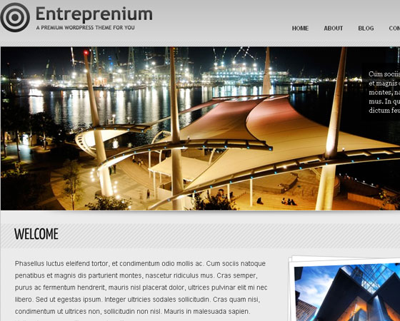 Premium WordPress themes