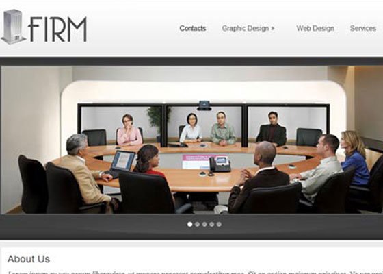 Premium WordPress themes