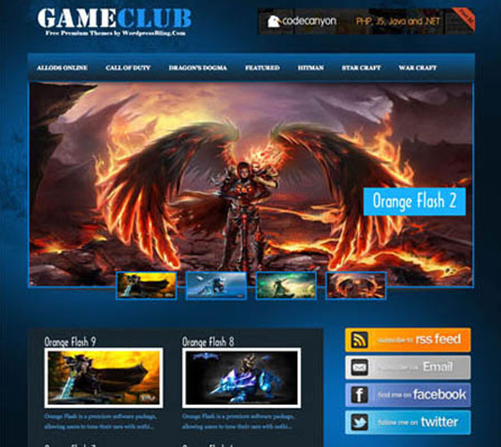Premium WordPress themes