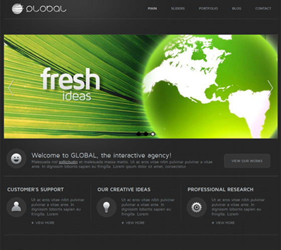 Premium WordPress themes