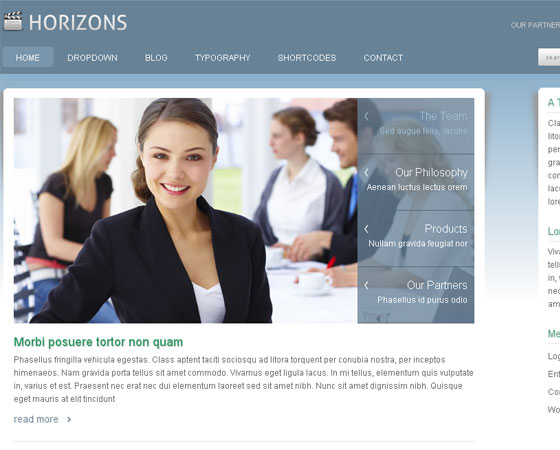 Premium WordPress themes