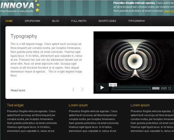 Premium WordPress themes