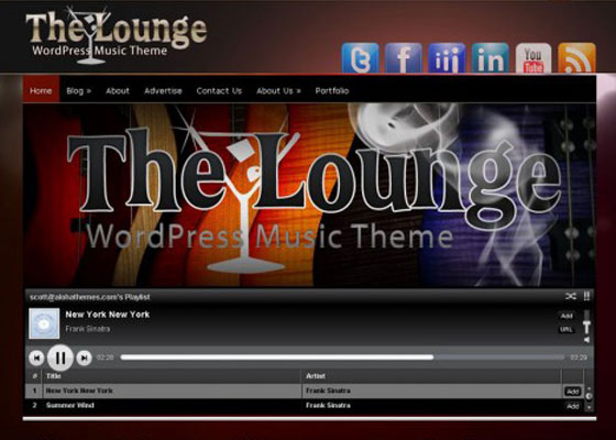 Premium WordPress themes