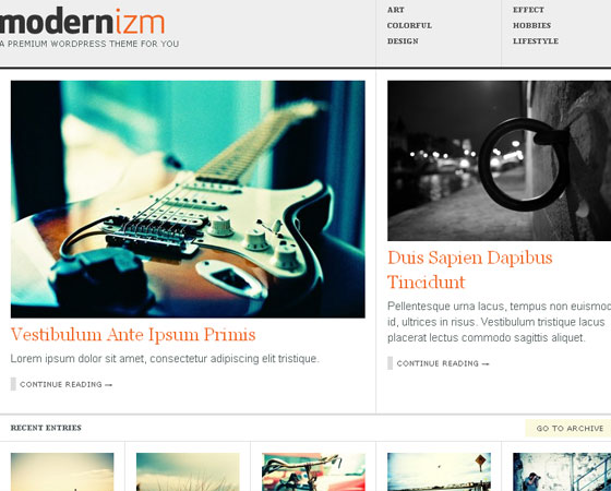 Premium WordPress themes