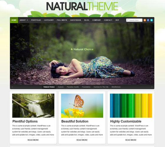 Premium WordPress themes