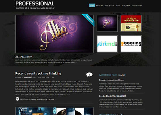 Premium WordPress themes