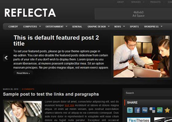 Premium WordPress themes