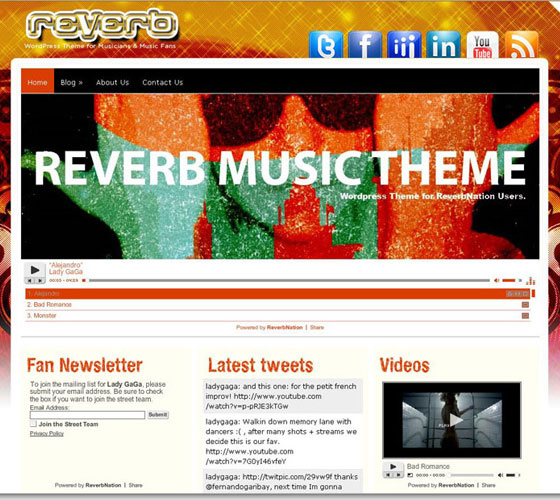 Premium WordPress themes
