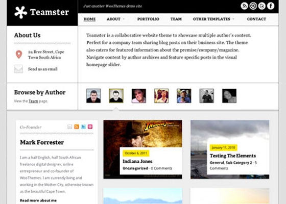 Premium WordPress themes
