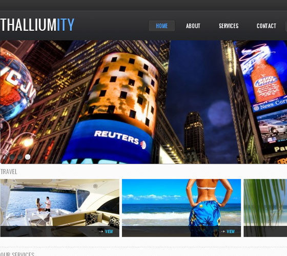 Premium WordPress themes