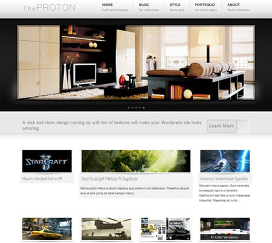 Premium WordPress themes