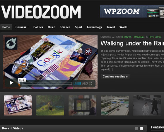 Premium WordPress themes