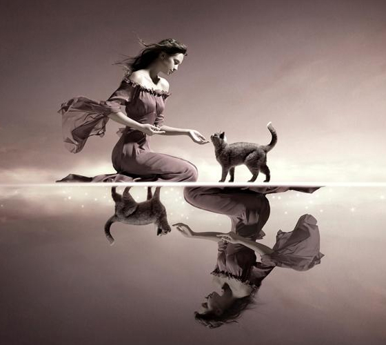 50+ Fresh Inspirations For Photo Manipulation